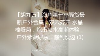 【胡九万】海角第一小骚货最新户外合集，双穴齐开 水晶棒爆菊，炮击喷水高潮体验，户外紫薇尿尿，骚到没边 (1)