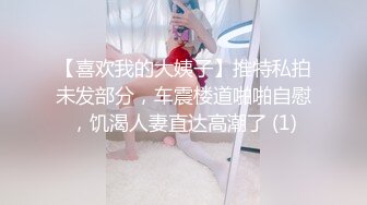 【喜欢我的大姨子】推特私拍未发部分，车震楼道啪啪自慰，饥渴人妻直达高潮了 (1)