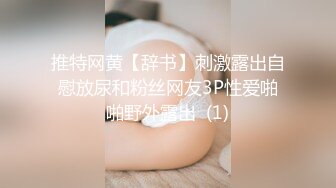 推特网黄【辞书】刺激露出自慰放尿和粉丝网友3P性爱啪啪野外露出  (1)