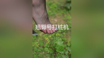 翘臀号打桩机