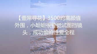 【壹屌寻花】3500约高颜值外围，小姐姐很警觉试图挡镜头，成功偷拍性爱全程