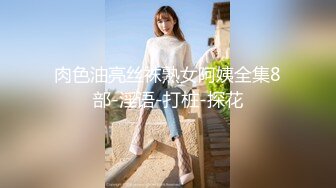 肉色油亮丝袜熟女阿姨全集8部-淫语-打桩-探花