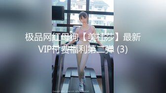 极品网红母狗【美杜莎】最新VIP付费福利第二弹 (3)