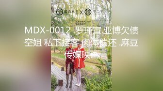 MDX-0012 .罗瑾宣.亚博欠债空姐 私下接客 肉体偿还 .麻豆传媒映画