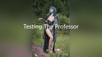 Testing The Professor