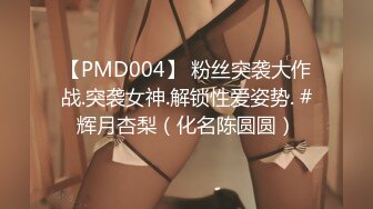 【PMD004】 粉丝突袭大作战.突袭女神.解锁性爱姿势. #辉月杏梨（化名陈圆圆）