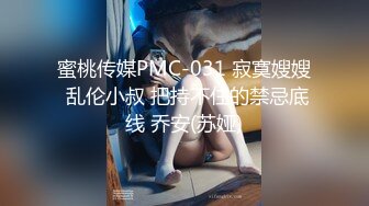 蜜桃传媒PMC-031 寂寞嫂嫂 乱伦小叔 把持不住的禁忌底线 乔安(苏娅)