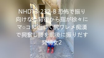 NHDTB-232-B 恐怖で振り向けない背後から指が徐々にマ○コに近づく尻ワレメ痴漢で興奮し腰を前後に振りだす発情女2