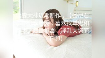 淫妻大神近期新作，【番尼君】，分享老婆，喜欢找单男和换妻，质量挺高，淫乱大场面，下 (3)