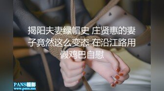 揭阳夫妻绿帽史 庄贤惠的妻子竟然这么变态 在沿江路用假鸡巴自慰