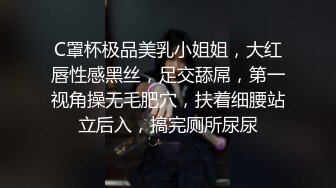 C罩杯极品美乳小姐姐，大红唇性感黑丝，足交舔屌，第一视角操无毛肥穴，扶着细腰站立后入，搞完厕所尿尿