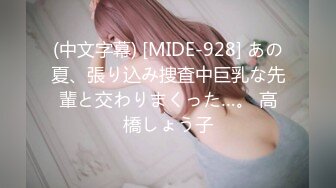 (中文字幕) [MIDE-928] あの夏、張り込み捜査中巨乳な先輩と交わりまくった…。 高橋しょう子