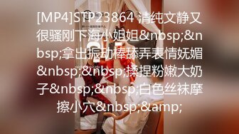 [MP4]STP23864 清纯文静又很骚刚下海小姐姐&nbsp;&nbsp;拿出振动棒舔弄表情妩媚&nbsp;&nbsp;揉捏粉嫩大奶子&nbsp;&nbsp;白色丝袜摩擦小穴&nbsp;&amp;