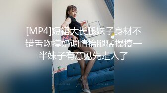 [MP4]短裙大长腿妹子身材不错舌吻摸奶调情抬腿猛操搞一半妹子有意见先走人了