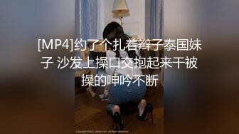 [MP4]约了个扎着辫子泰国妹子 沙发上操口交抱起来干被操的呻吟不断