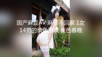 国产麻豆AV 麻豆不回家 1女14男的情色游戏 桃色春晚