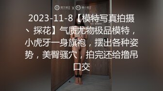 2023-11-8【模特写真拍摄丶探花】气质尤物极品模特，小虎牙一身旗袍，摆出各种姿势，美臀骚穴，拍完还给撸吊口交